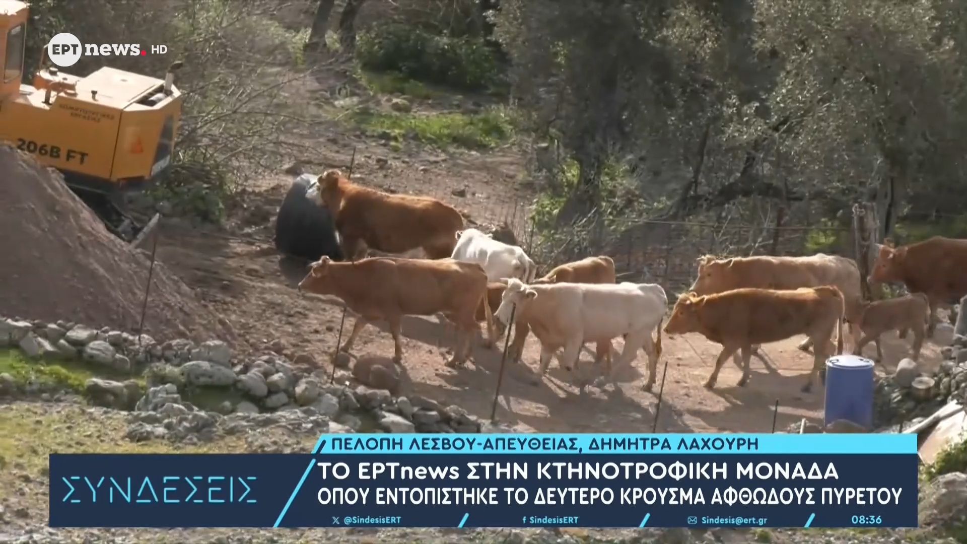 Το ΕΡΤnews στην κτηνοτροφική μονάδα όπου εντοπίστηκε το δεύτερο κρούσμα αφθώδους πυρετού