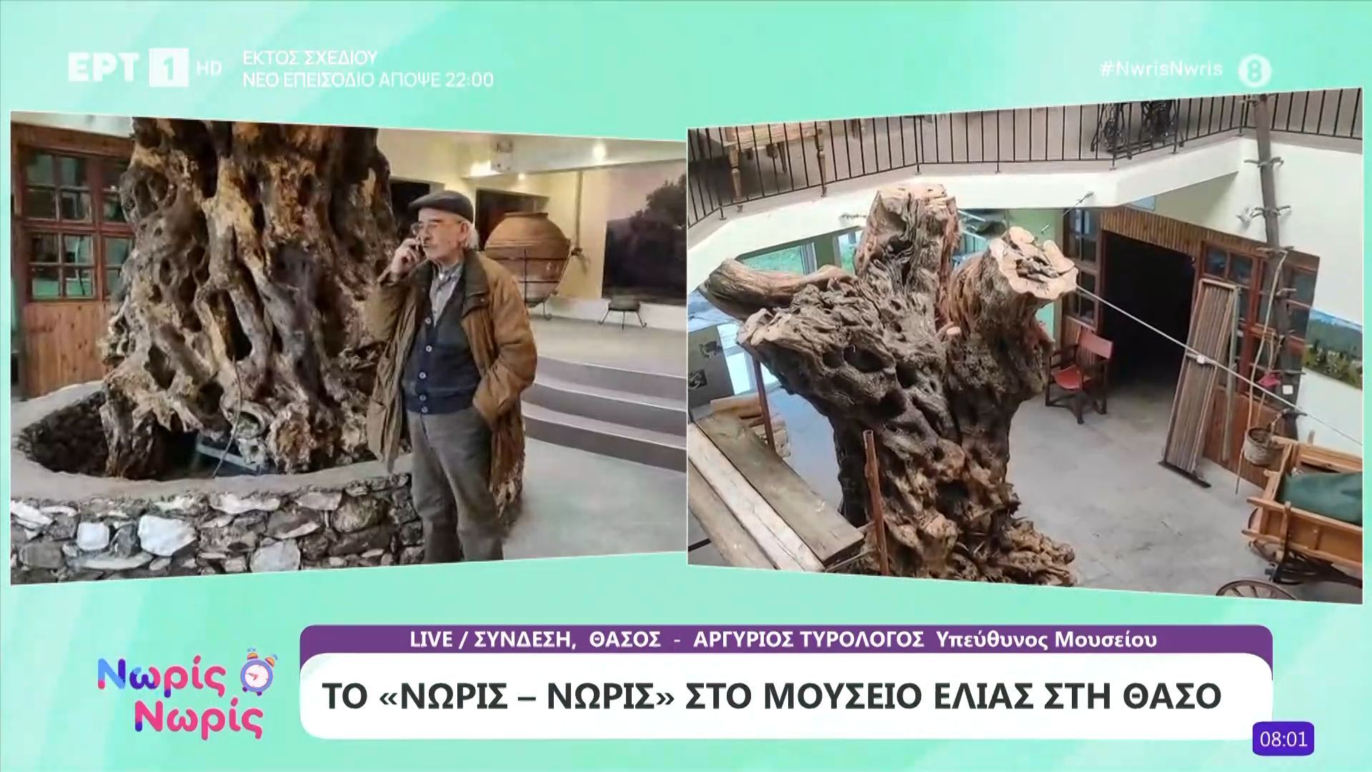 Το «Νωρίς – Νωρίς» στο μουσείο ελιάς στη Θάσο