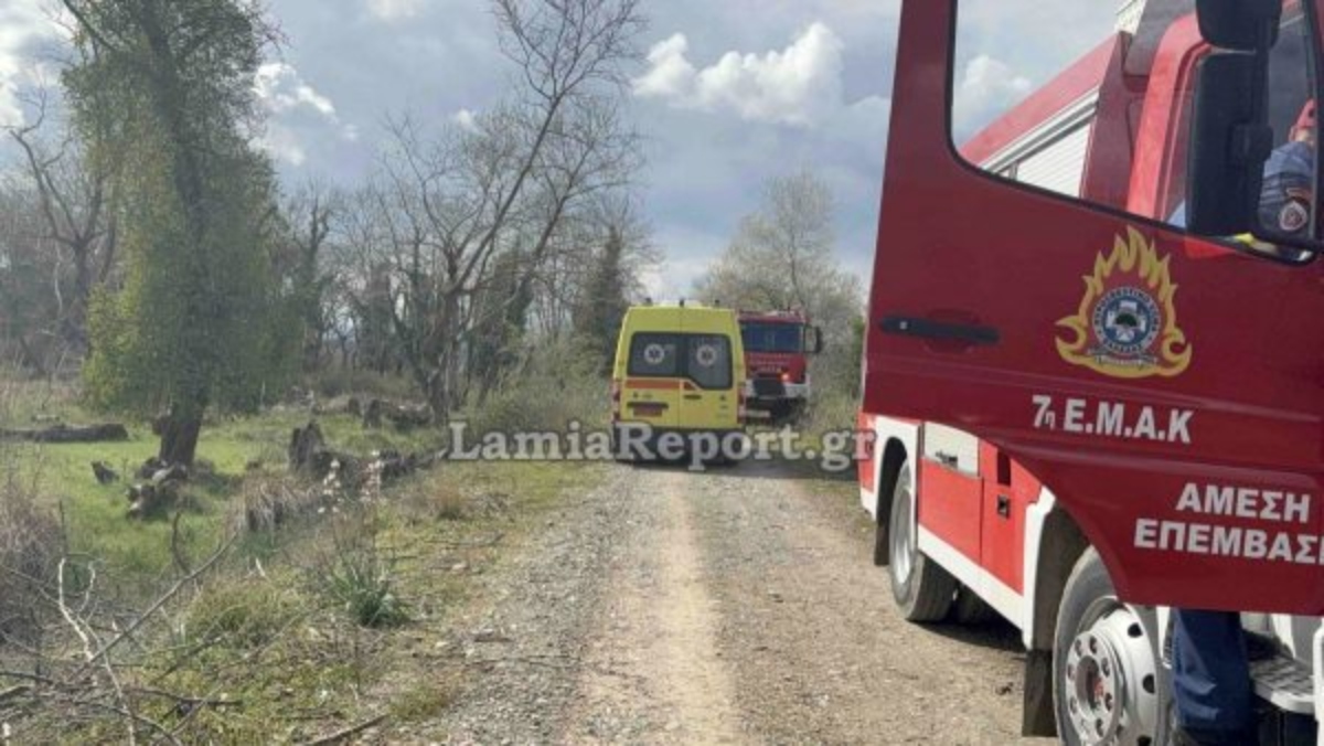Δραματικό συμβάν στη Λαμία: 68χρονος συνθλίβεται από δέντρο και χάνει τη ζωή του μπροστά στη σύζυγό του