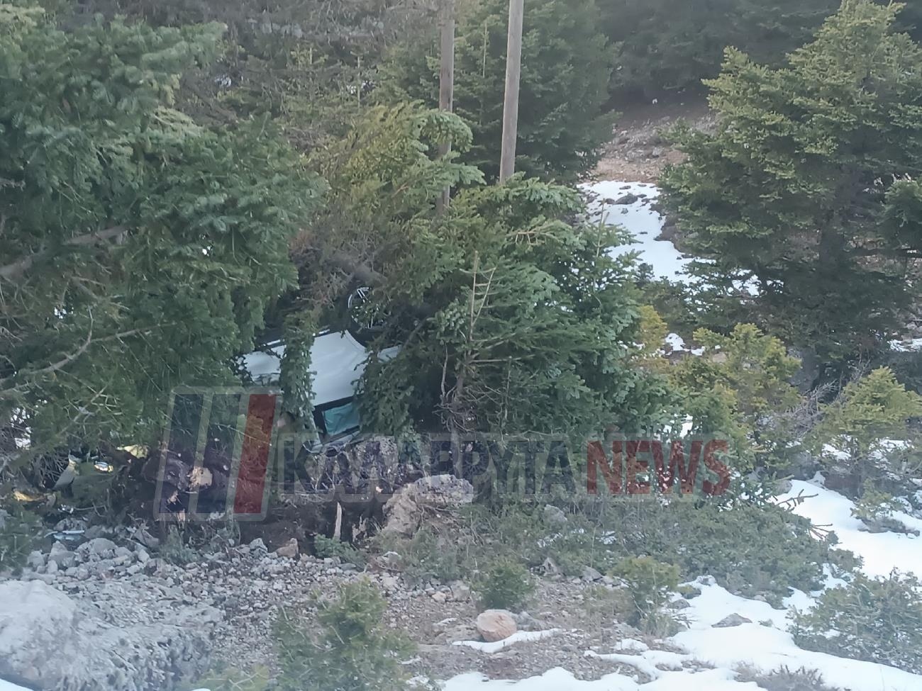 Νεαρή οδηγός καρφώθηκε σε δέντρο στα Καλάβρυτα: Άμορφη μάζα το αυτοκίνητο, σώθηκε από θαύμα – Δείτε εικόνες 5 Αυτοκίνητο σε δέντρο