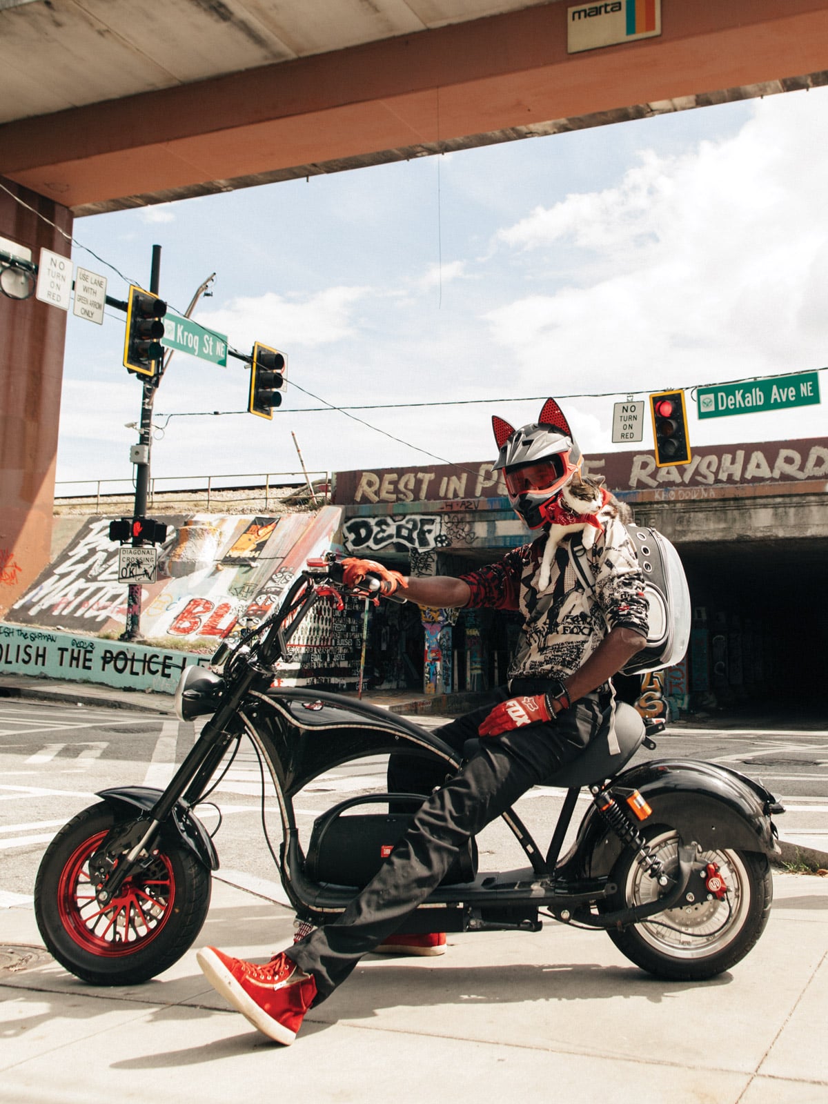 ΗΠΑ: Επιβάτης αεροπλάνου πέταξε με γάτα στο κεφάλι – Δείτε το βίντεο