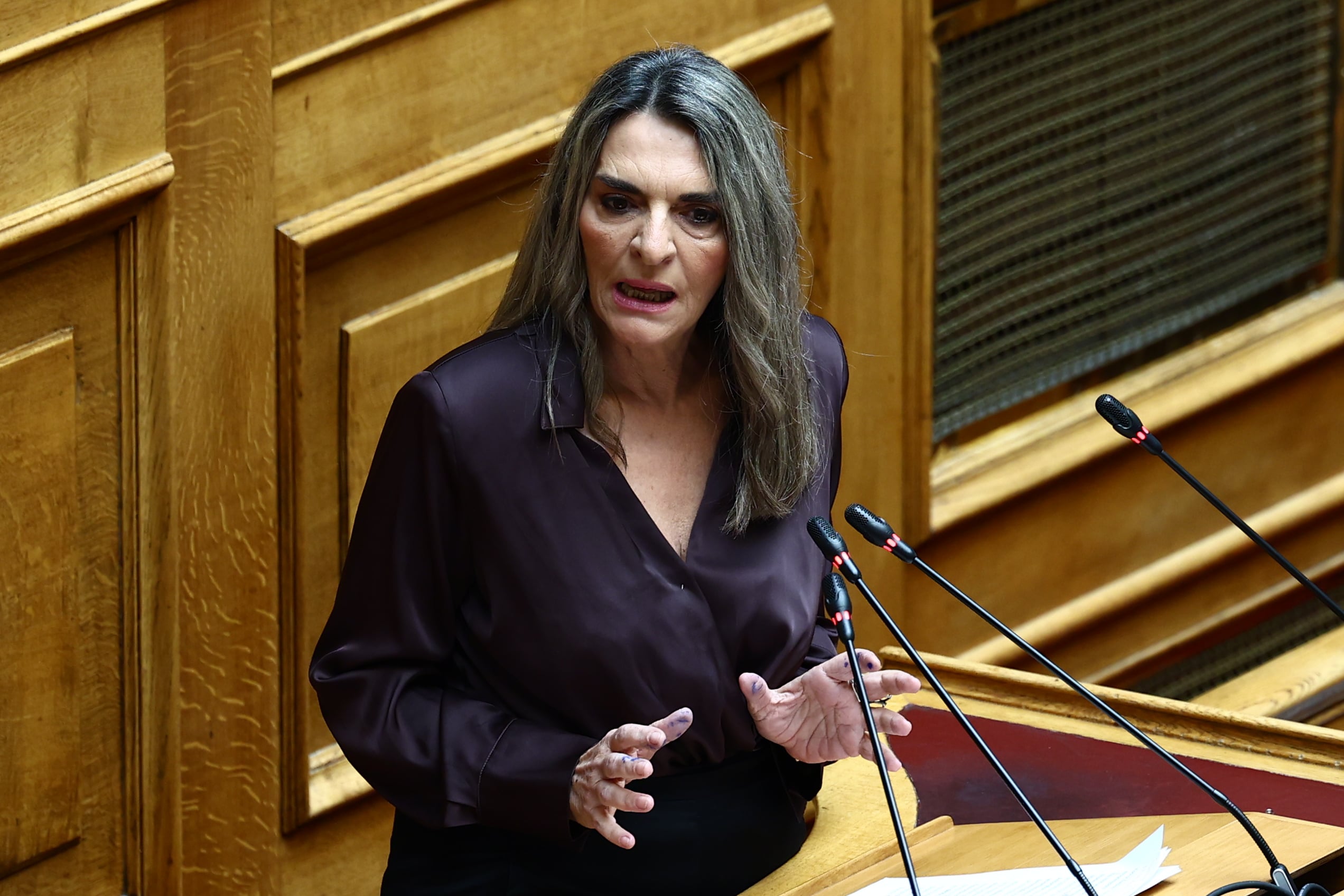 Πέρκα στη Βουλή: «Η εξάρτηση από αυτή τη διαστρεβλωμένη κανονικότητα του κ. Μητσοτάκη αποτελεί τη μεγαλύτερη ήττα για μια δημοκρατική κοινωνία»