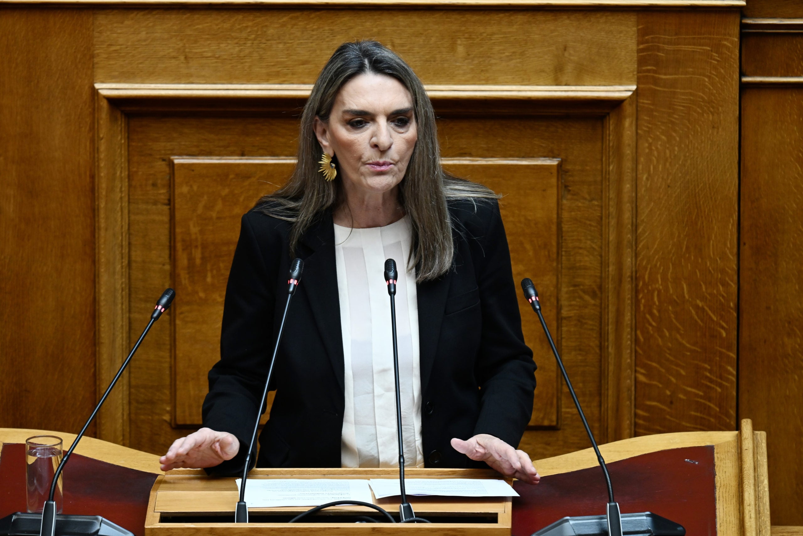 Βουλή: Τα συλλυπητήρια Παπαθανάση για την απώλεια του γιου της Θεανώς Φωτίου – Πέτη Πέρκα: «Είναι μια θλιβερή ημέρα για όλους μας»