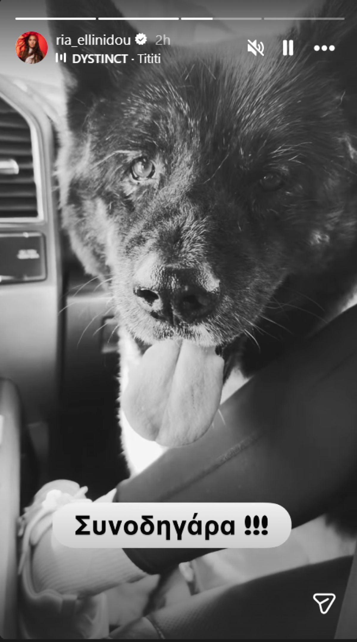 Δημήτρης Αλεξάνδρου & Ρία Ελληνίδου: Πάσχα στην Αράχωβα – Η λεπτομέρεια που τους «αποκάλυψε» 4 Το story που ανέβασε η Ρία Ελληνίδου