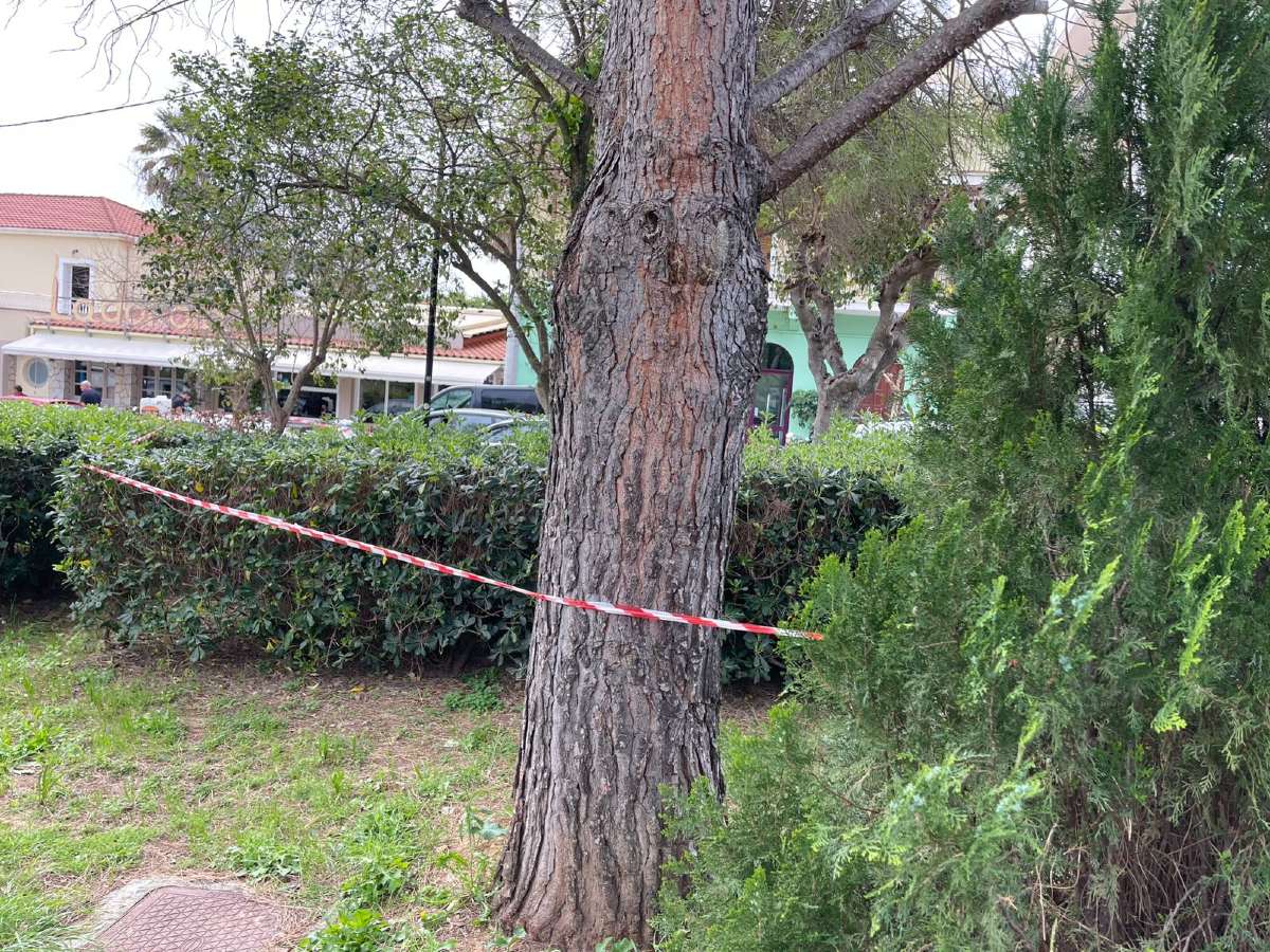 Κεφαλονιά: Ο φίλος της 19χρονης Μυρτώς «σπάει» τη σιωπή – «Με εξαπάτησε και εμένα» 8 Το σημείο όπου βρέθηκε νεκρή η 19χρονη Μυρτώ