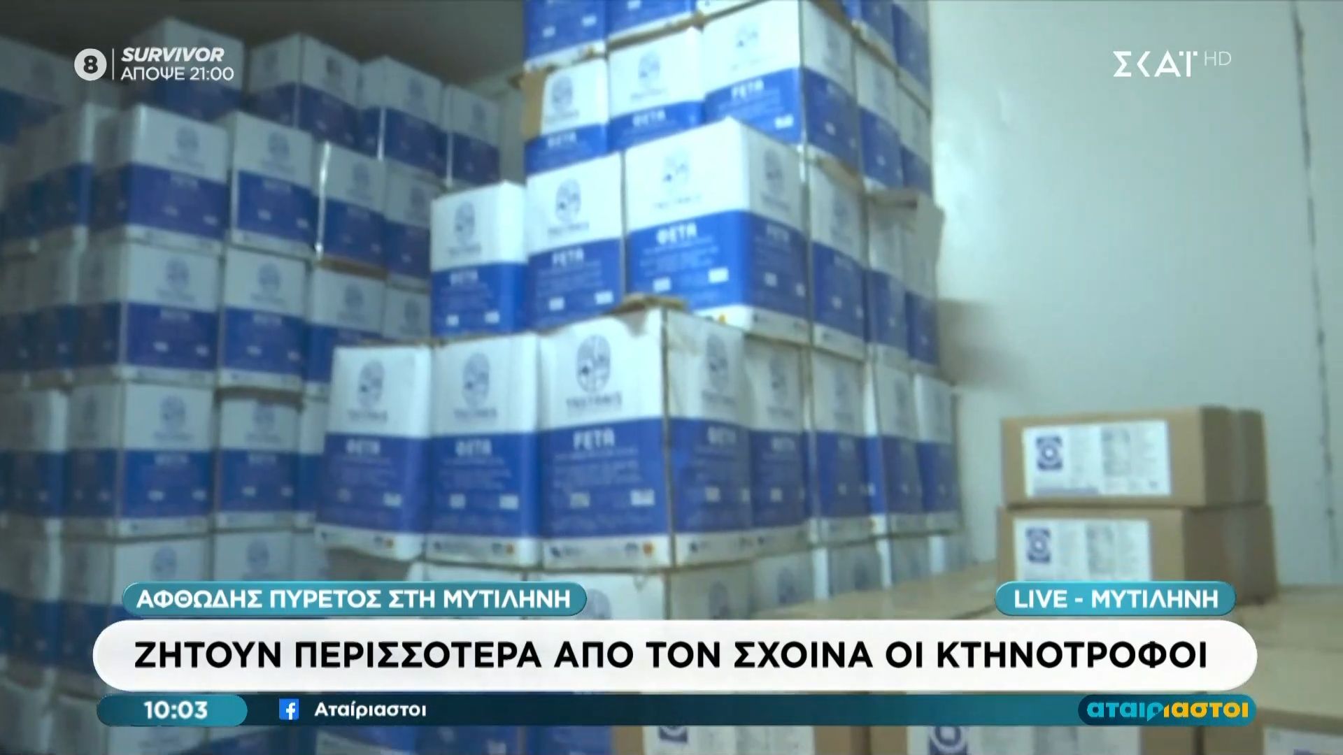 Αφθώδης πυρετός  Μυτιλήνη: Ζητούν περισσότερα από τον Ζχοινά οι κτηνοτρόφοι