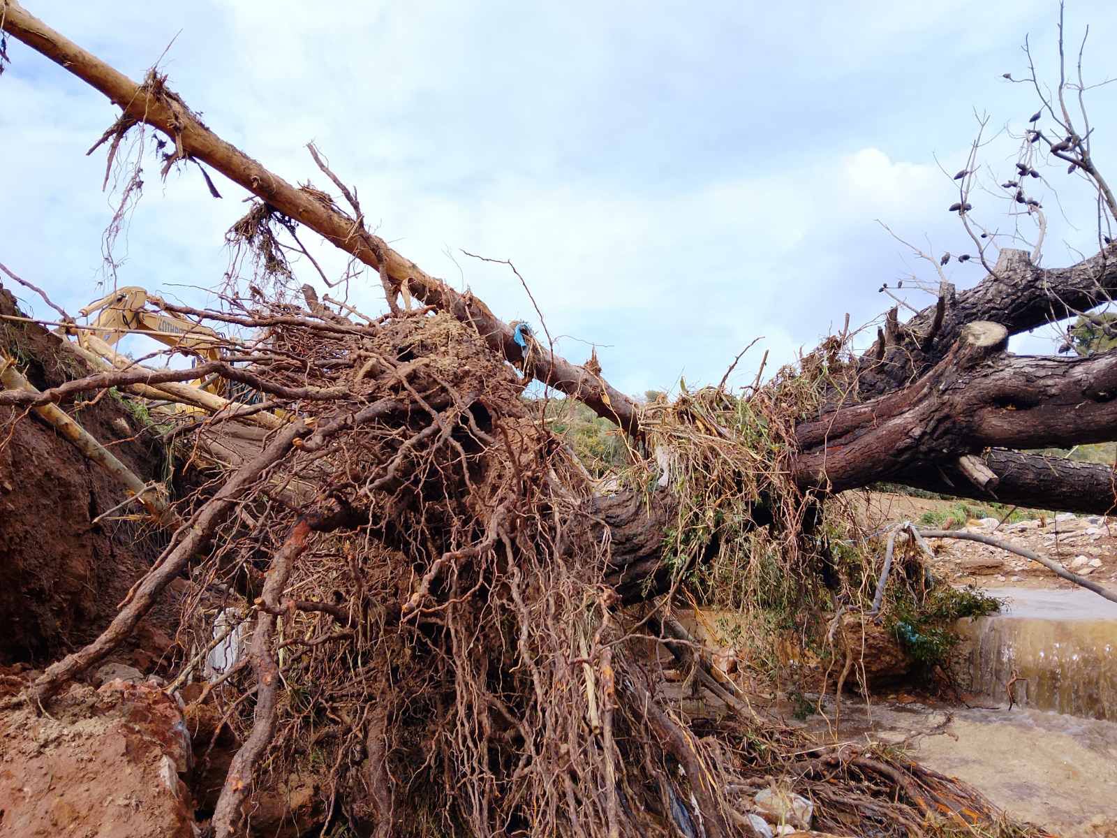Κακοκαιρία Erminio: Δρόμος κατέρρευσε και έγινε χαράδρα στην Καλλιτεχνούπολη