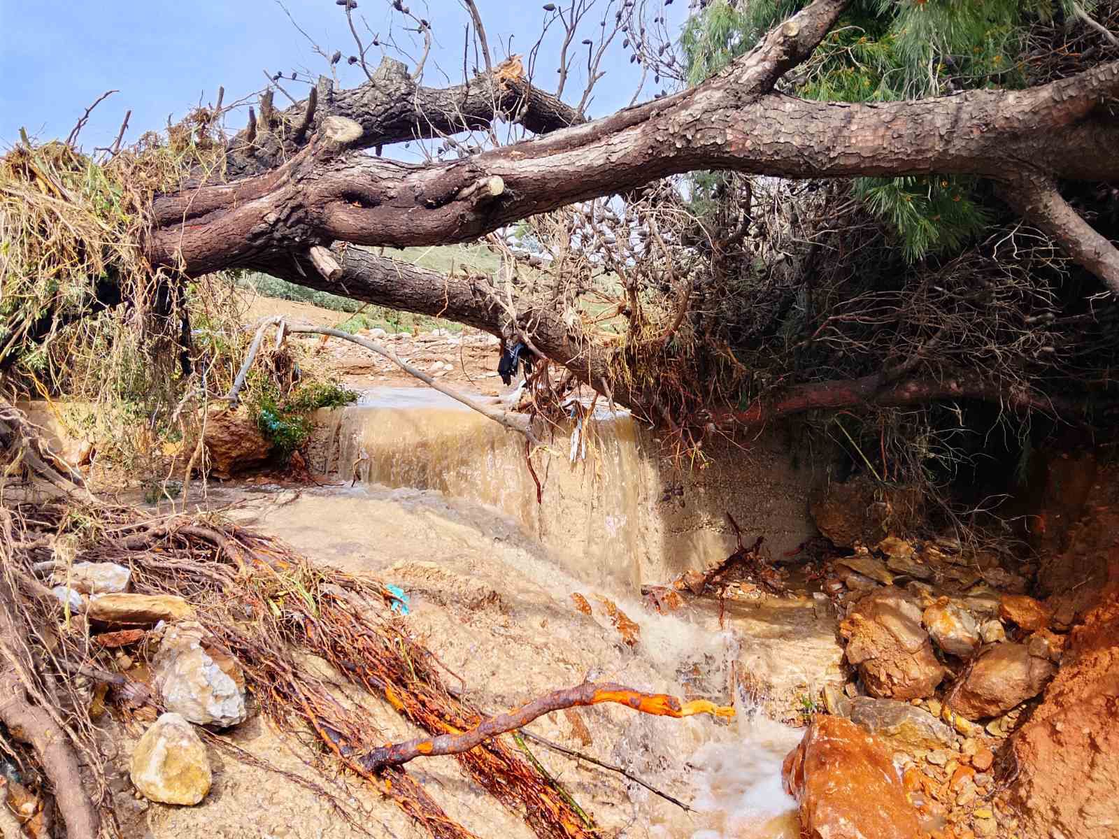 Κακοκαιρία Erminio: Δρόμος κατέρρευσε και έγινε χαράδρα στην Καλλιτεχνούπολη