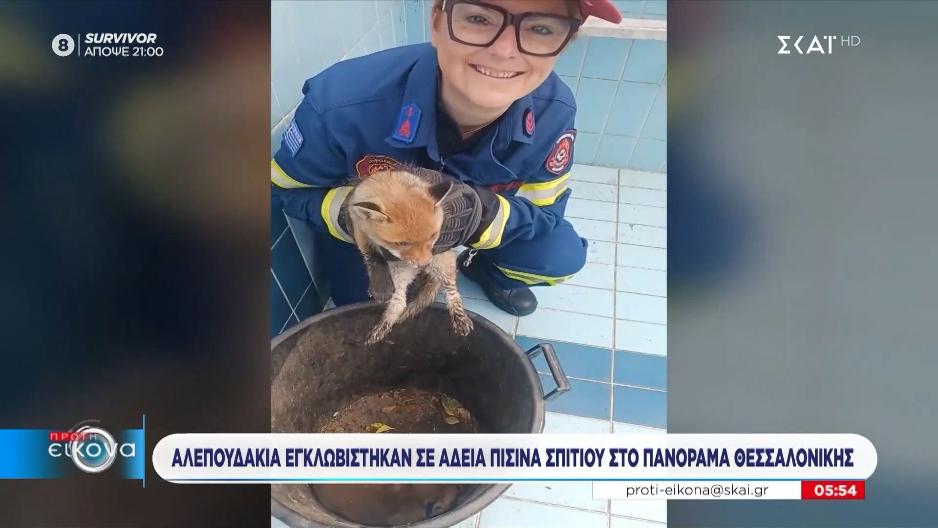 Αλεπουδάκια εγκλωβίστηκαν σε άδεια πισίνα σπιτιού στο Πανόραμα Θεσσαλονίκης