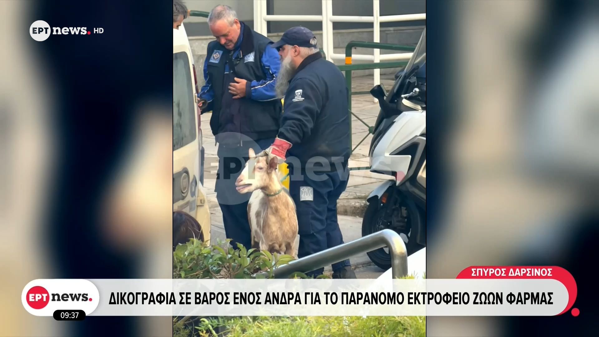 Αμπελόκηποι: Δικογραφία σε βάρος ενός άνδρα για το παράνομο εκτροφείο ζώων φάρμας