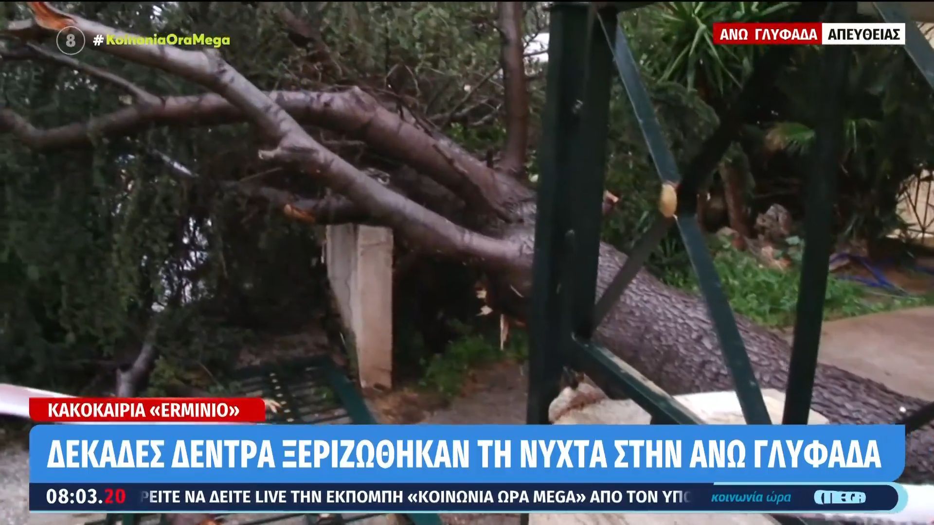Άνω Γλυφάδα: Δέντρα ξεριζώθηκαν και έπεσαν σε πιλοτές σπιτιών