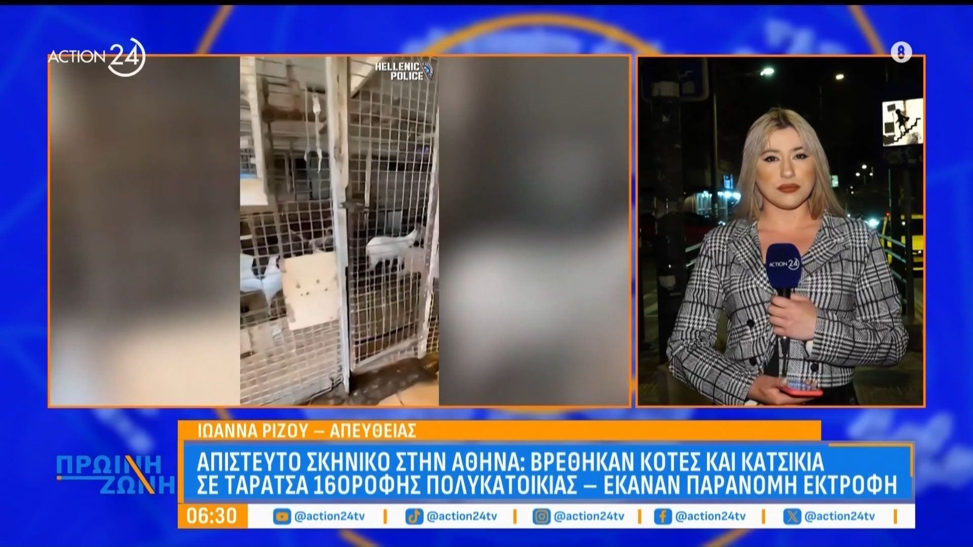 Απίστευτο σκηνικό στους Αμπελόκηπους: Βρέθηκαν κότες και κατσίκια σε ταράτσα 16οροφης πολυκατοικίας – Δικογραφία για παράβαση της νομοθεσίας περί ζώων