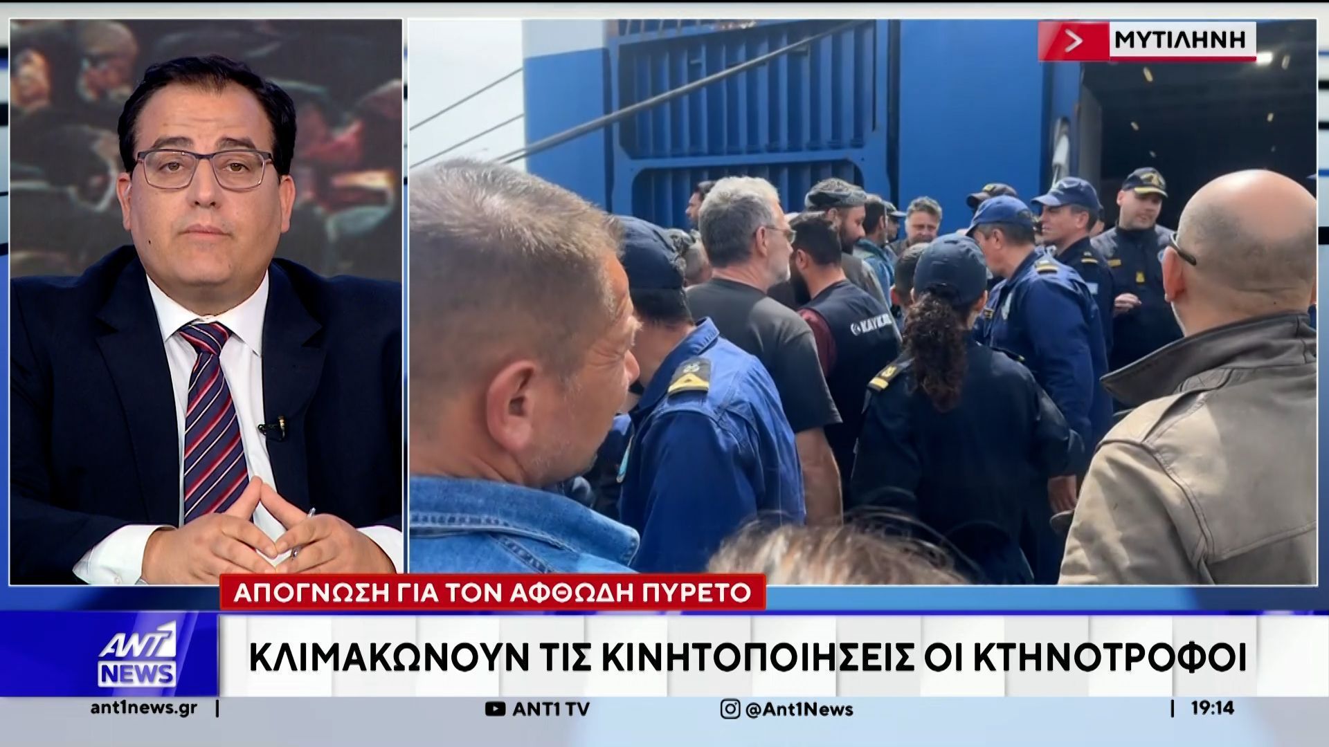 Απόγνωση για τον αφθώδη πυρετό: Κλιμακώνουν τις κινητοποιήσεις οι κτηνοτρόφοι