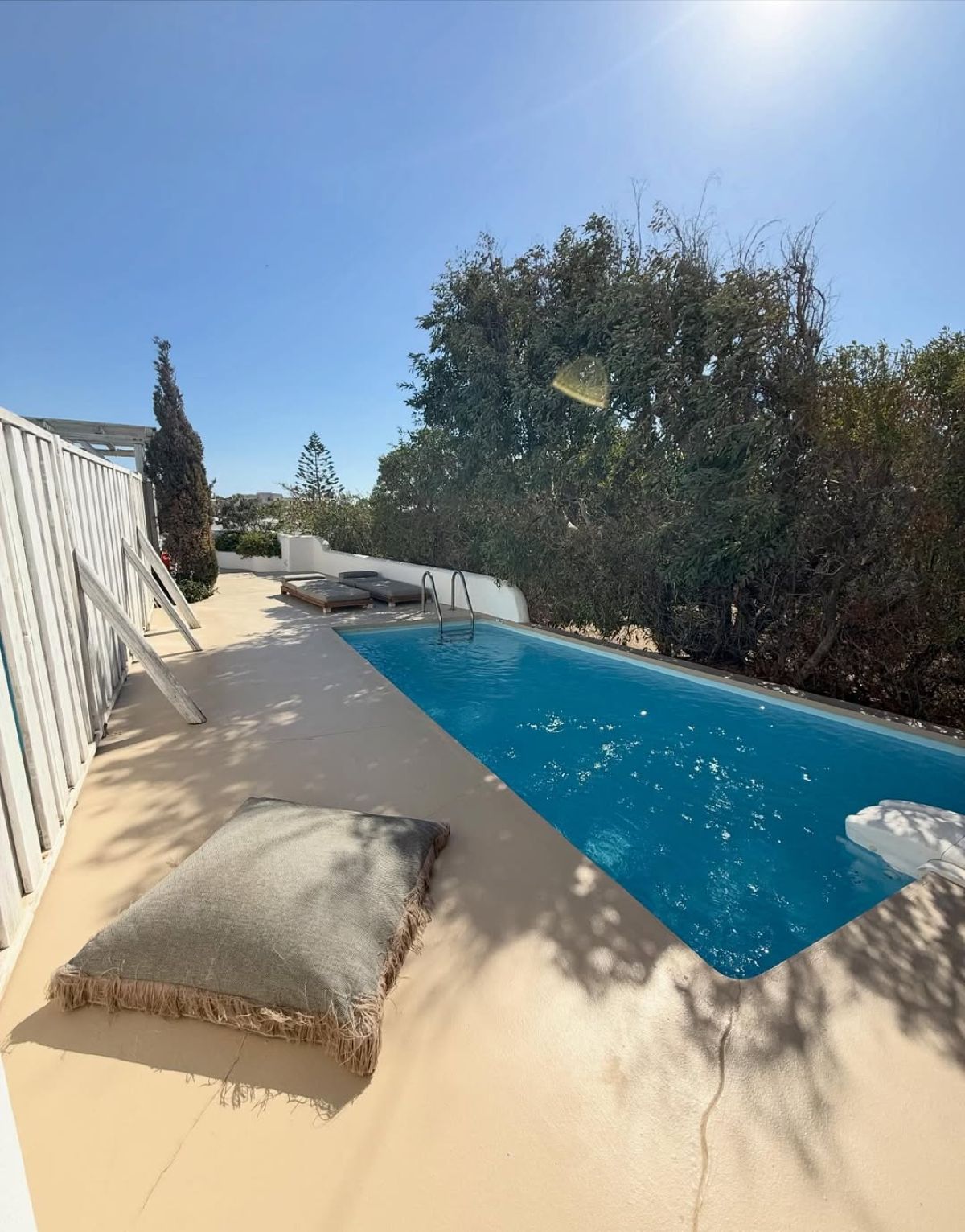 Αθηνά Οικονομάκου