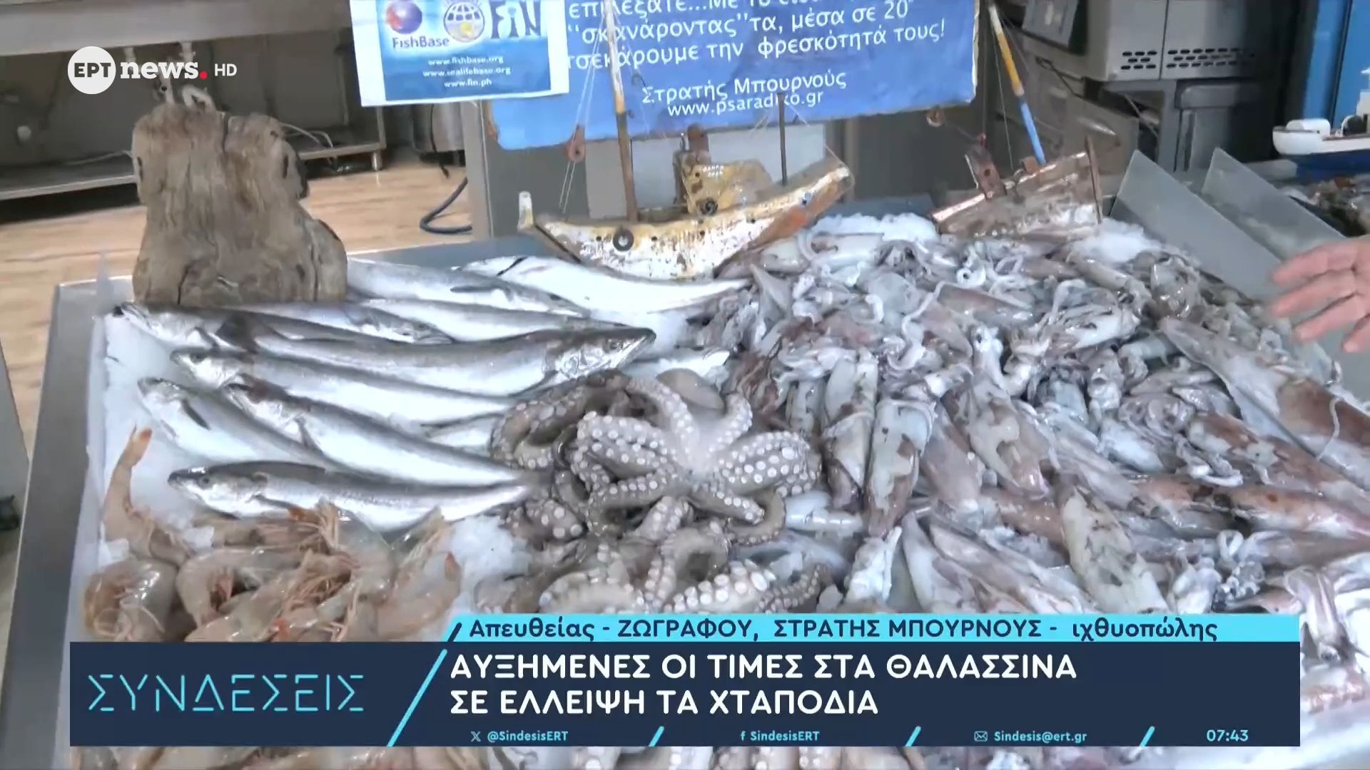 Αυξημένες οι τιμές στα θαλασσινά – Σε έλλειψη τα χταπόδια