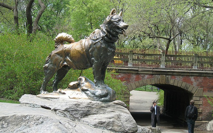 Μπάλτο: Ο σκύλος που αψήφησε τα πάντα και έσωσε μια ολόκληρη κοινότητα στην Αλάσκα το 1925 (φωτογραφίες) 20 baaltoodfooggerefd14