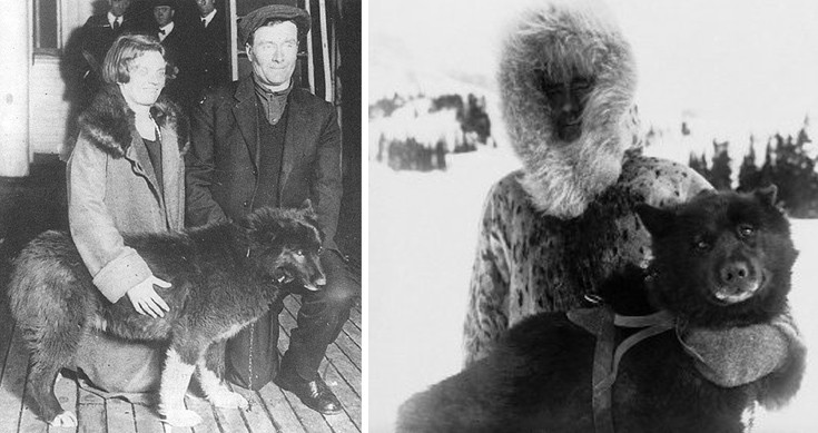 Μπάλτο: Ο σκύλος που αψήφησε τα πάντα και έσωσε μια ολόκληρη κοινότητα στην Αλάσκα το 1925 (φωτογραφίες) 14 baaltoodfooggerefd2