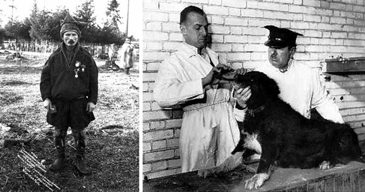Μπάλτο: Ο σκύλος που αψήφησε τα πάντα και έσωσε μια ολόκληρη κοινότητα στην Αλάσκα το 1925 (φωτογραφίες) 23 baaltoodfooggerefd7