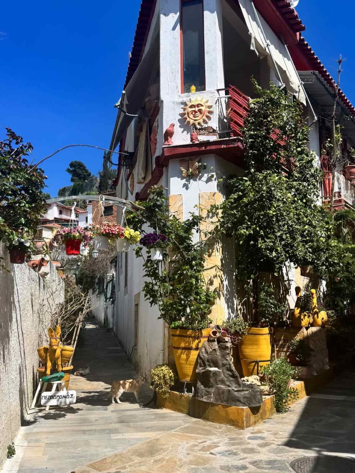 Δανάη Μπάρκα