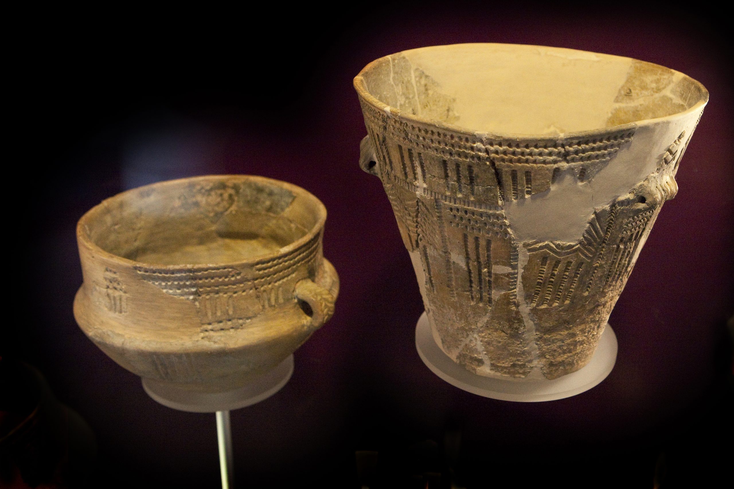 Γάλα χωρίς λακτόζη πριν από 5.500 χρόνια; Τα απρόσμενα ευρήματα μελέτης στην Πολωνία