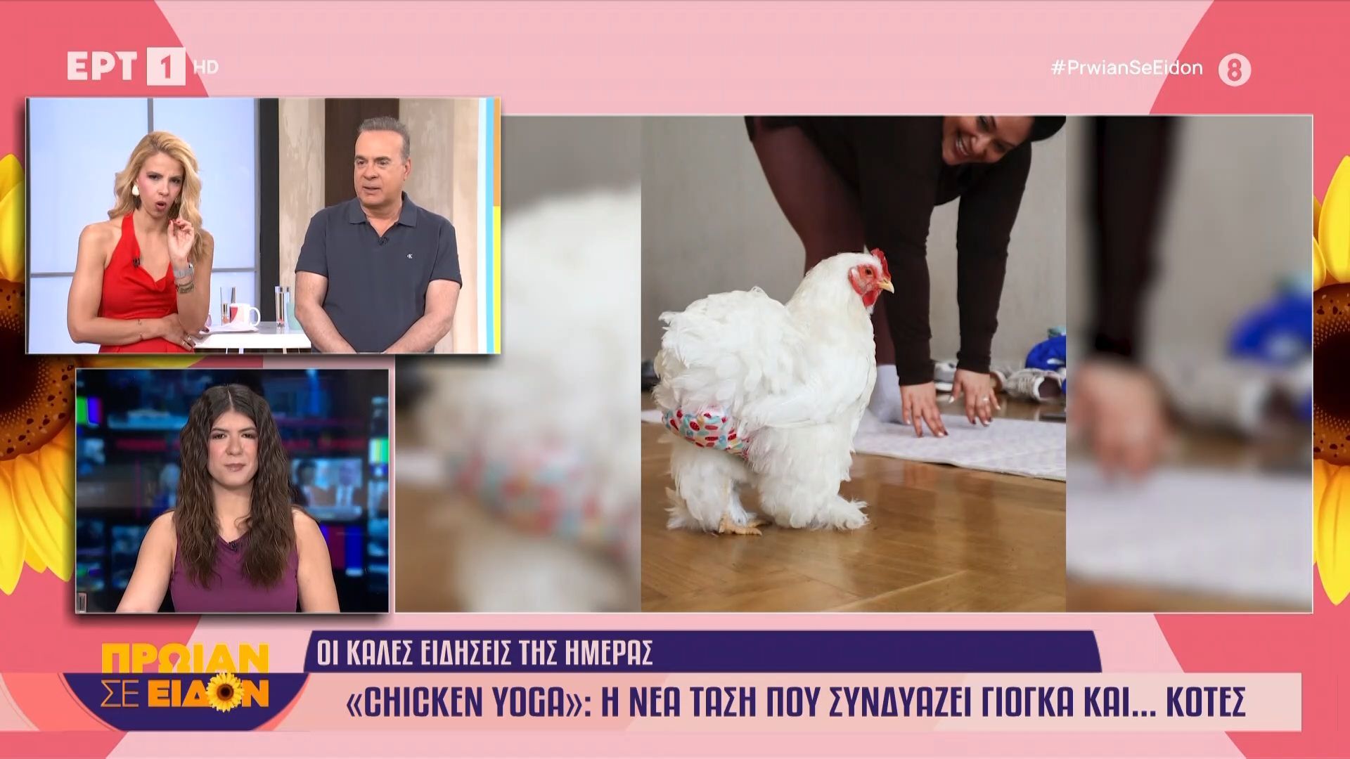 «Chicken Yoga»: Η νέα τάση που συνδυάζει yoga και… κότες