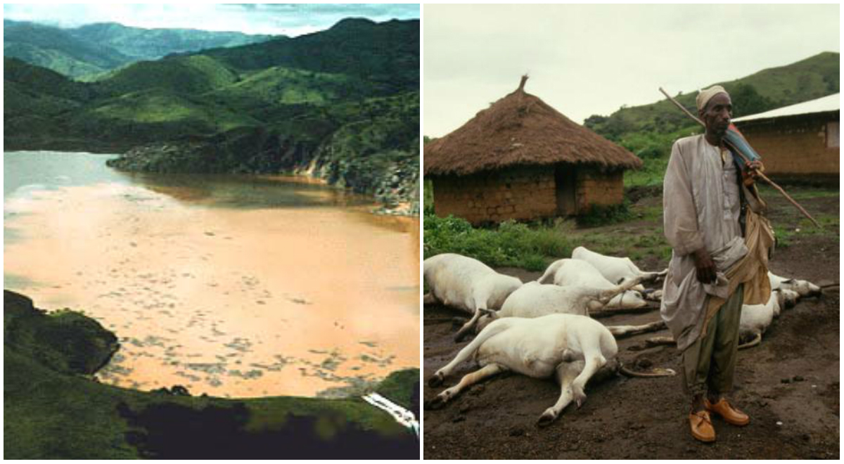 Το ανεξήγητο φαινόμενο που αφάνισε 1.800 ανθρώπους και χιλιάδες ζώα σε μια νύχτα στη λίμνη Νυός (βίντεο)