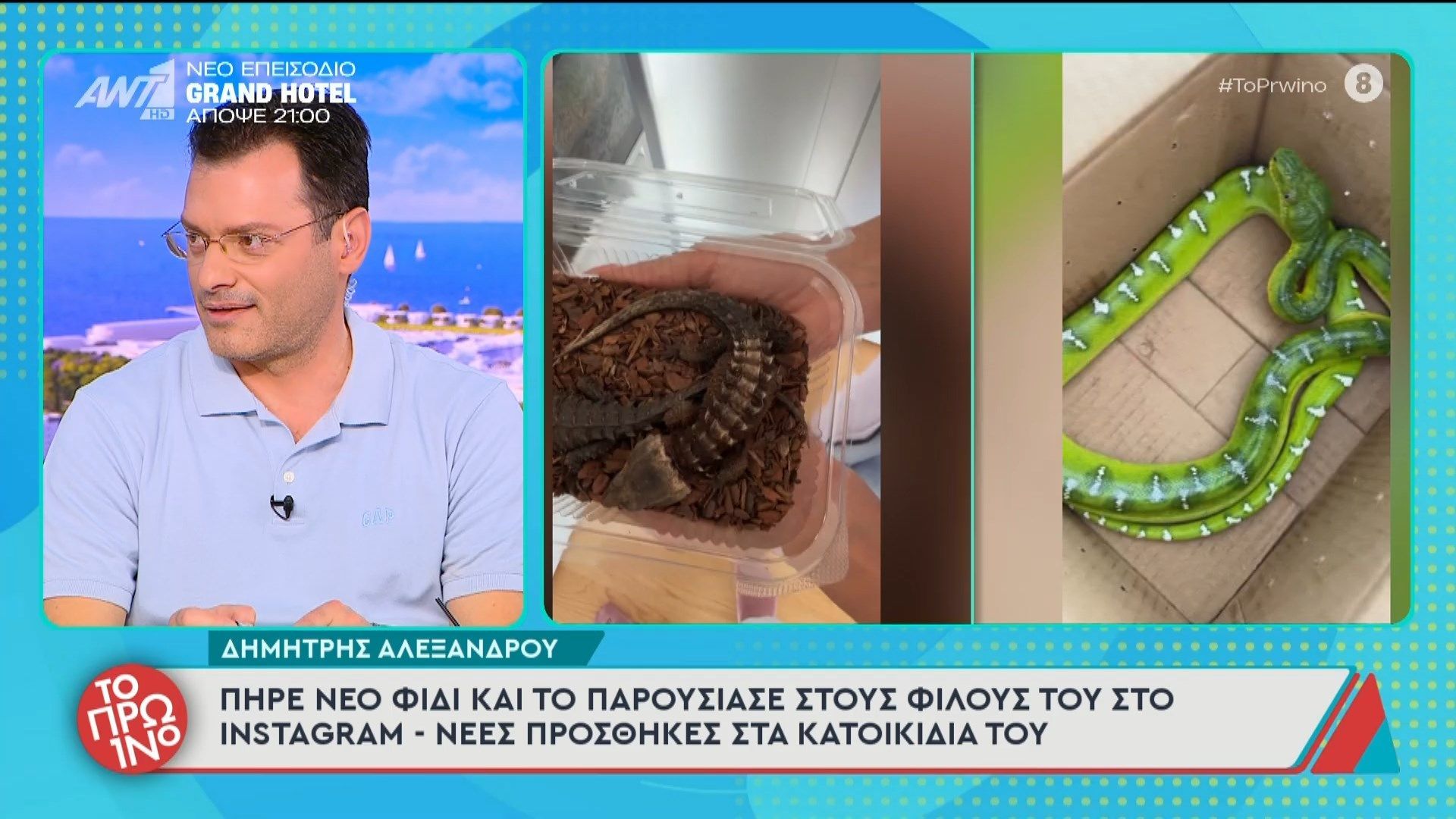 Δ. Αλεξάνδρου: Πήρε νέο φίδι και το παρουσίασε στους φίλους του στο Instagram – Το Πρωινό – 01/04/2026
