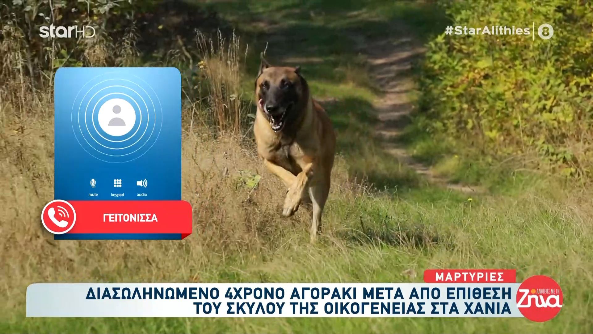 Διασωληνωμένο 4χρονο αγοράκι μετά από επίθεση του σκύλου της οικογένειας στα Χανιά