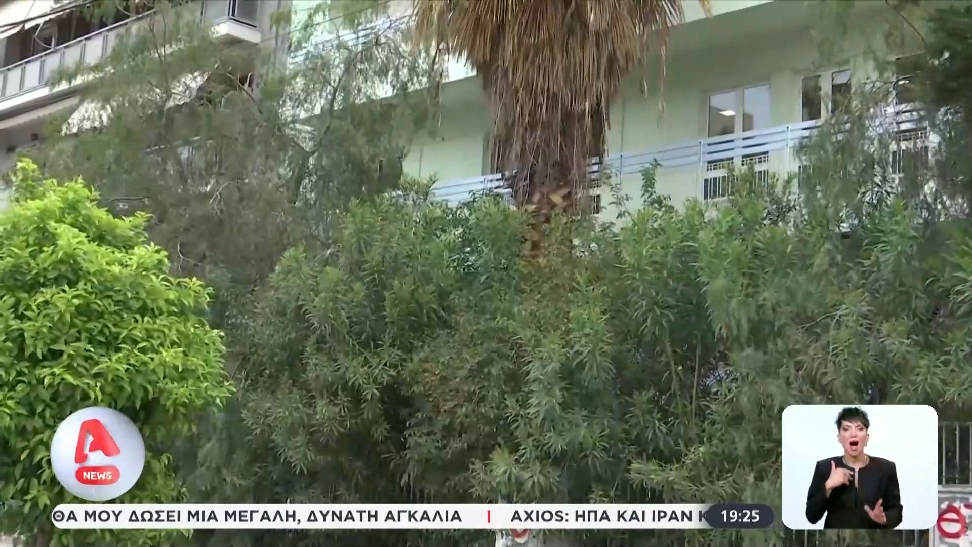 Διχάζει η πικροδάφνη στα σχολεία αναφορικά με την εγκύκλιο για απομάκρυνσή της