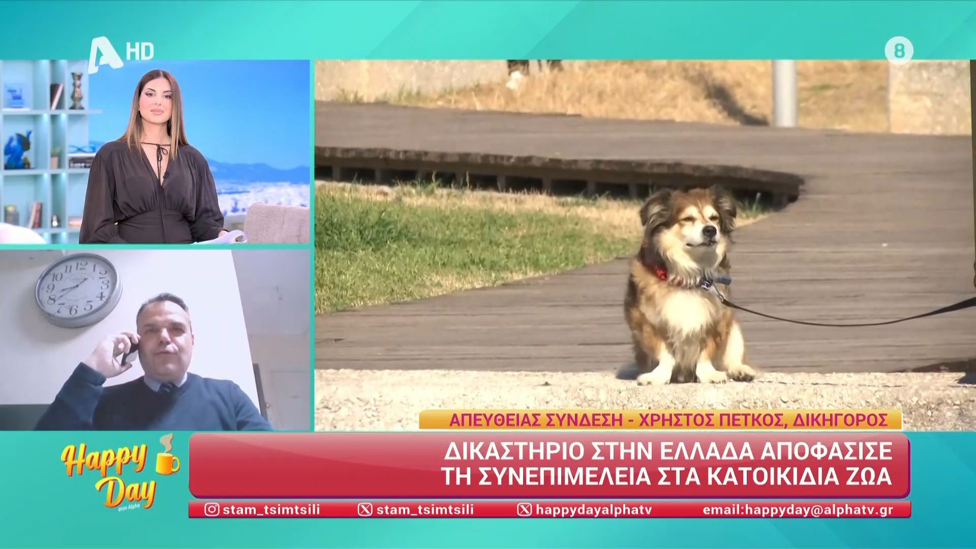 Δικαστήριο στην Ελλάδα αποφάσισε τη συνεπιμέλεια στα κατοικίδια ζώα μετά τον χωρισμό