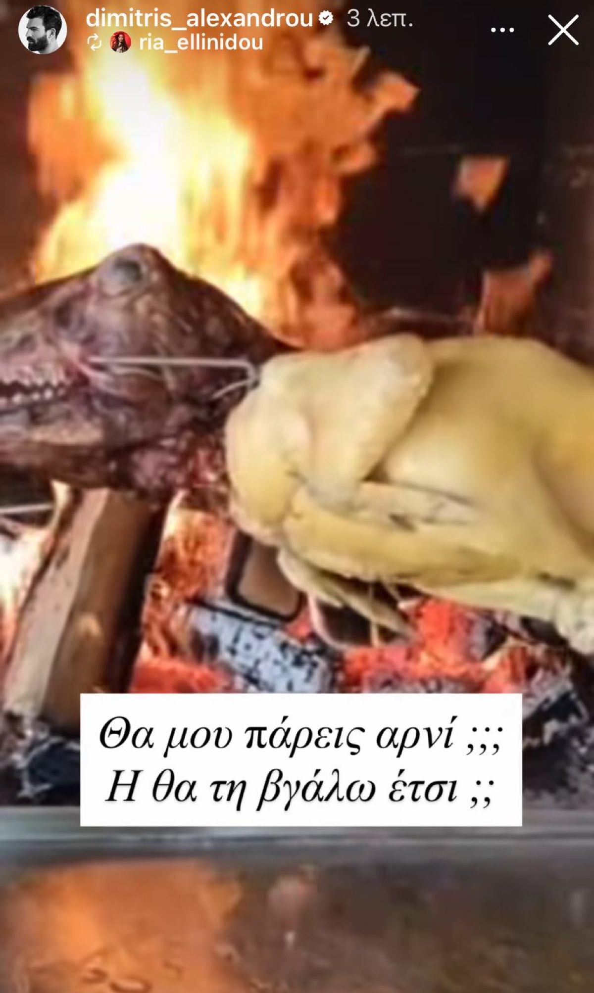 Δημήτρης Αλεξάνδρου, Ρία Ελληνίδου