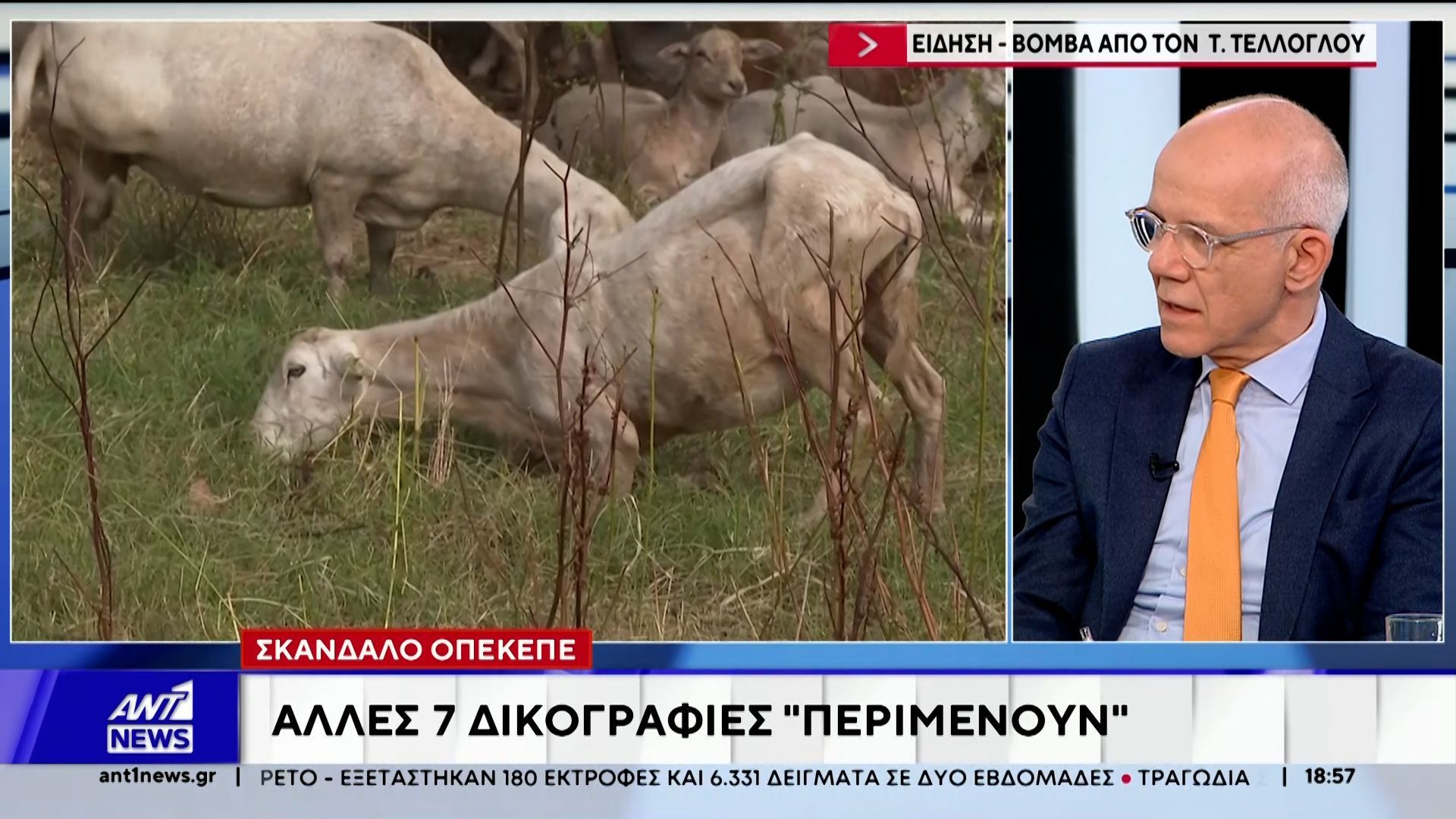 Άλλες 7 δικογραφίες “περιμένουν” για το σκάνδαλο ΟΠΕΚΕΠΕ
