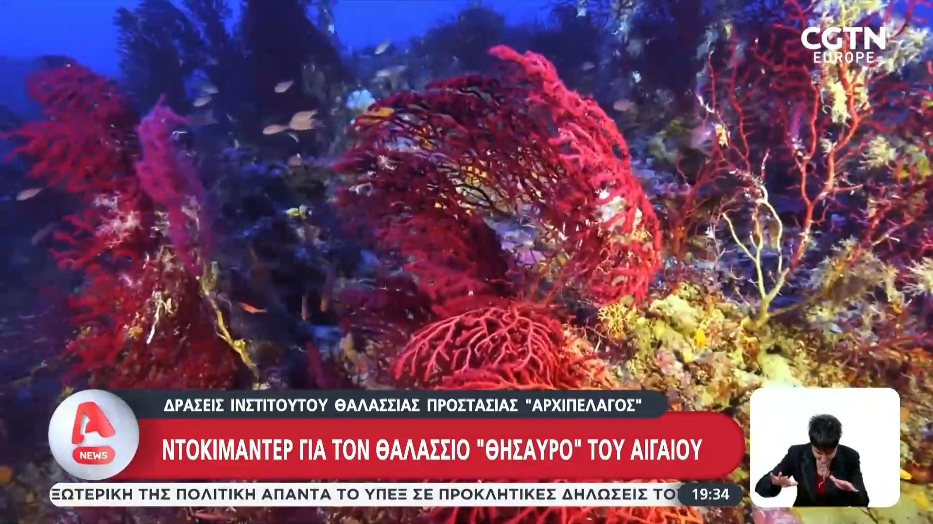Δράσεις Ινστιτούτου Θαλάσσιας Προστασίας “Αρχιπέλαγος”: Ντοκιμαντέρ για τον θαλάσσιο «θησαυρό» του Αιγαίου