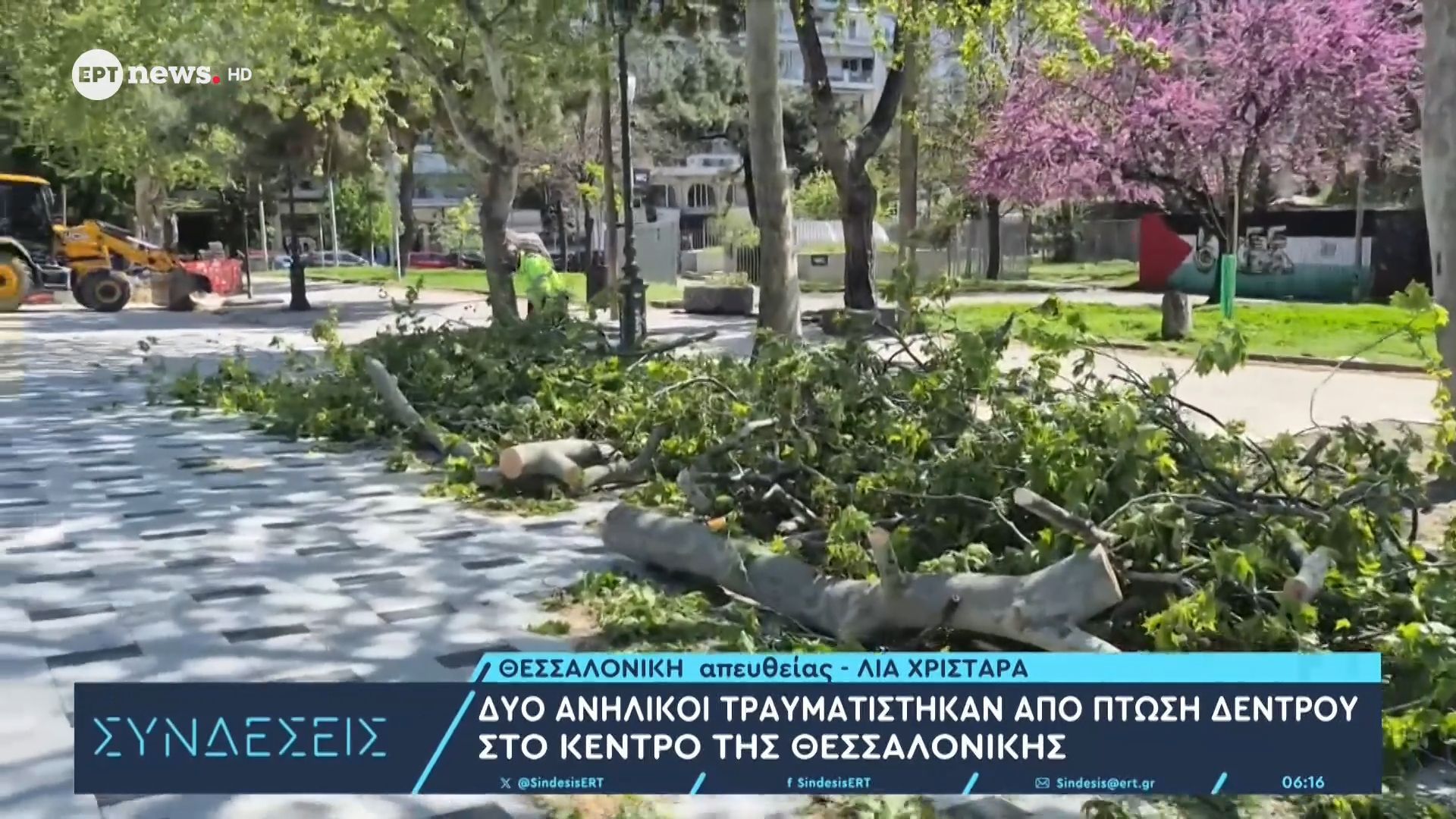 Δύο ανήλικοι τραυματίστηκαν από πτώση δέντρου στο κέντρο της Θεσσαλονίκης