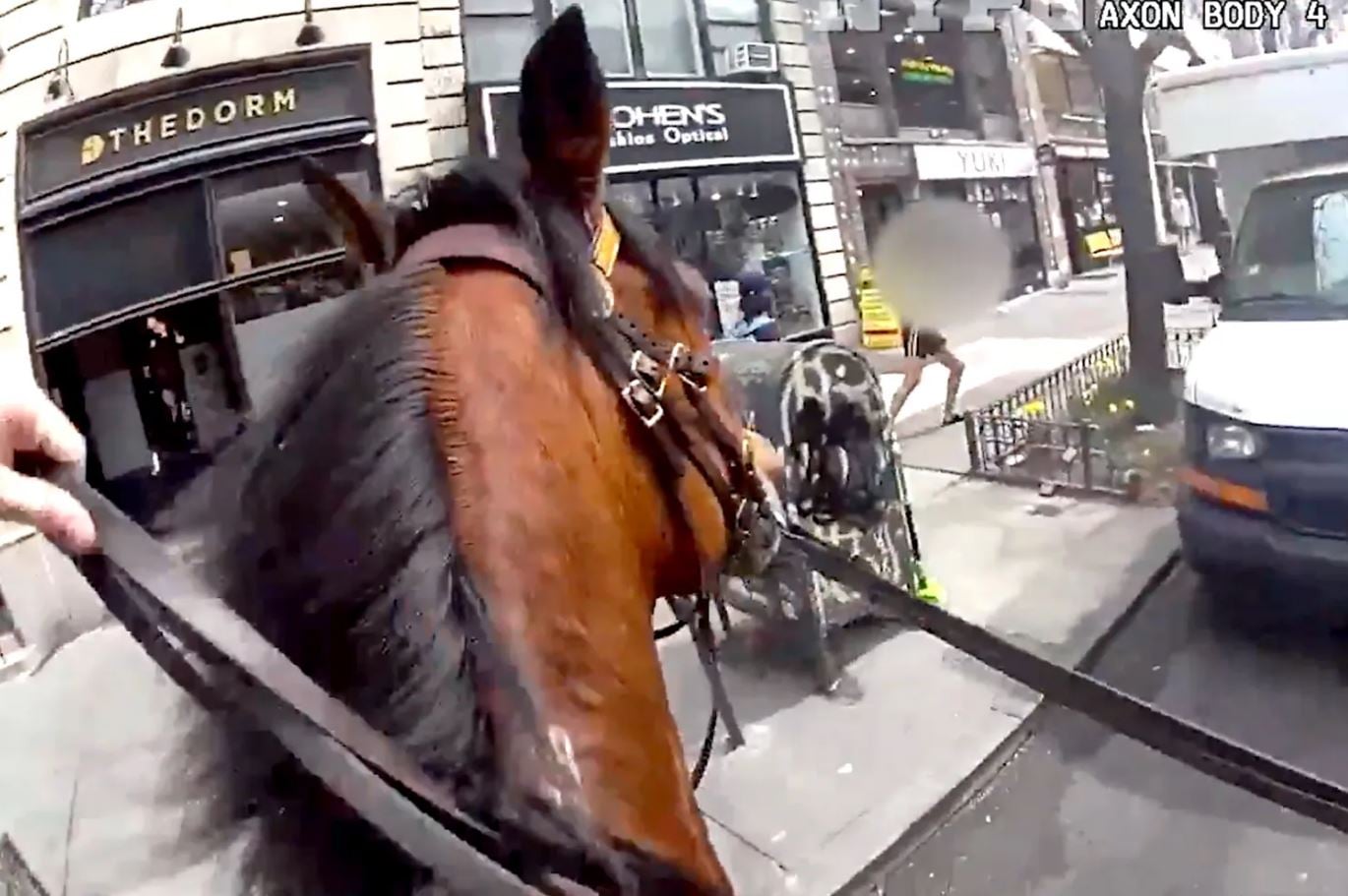 Σκηνές δράσης στη Νέα Υόρκη: Έφιππος αστυνομικός κυνηγά γυναίκα που άρπαξε τσάντα – Βίντεο