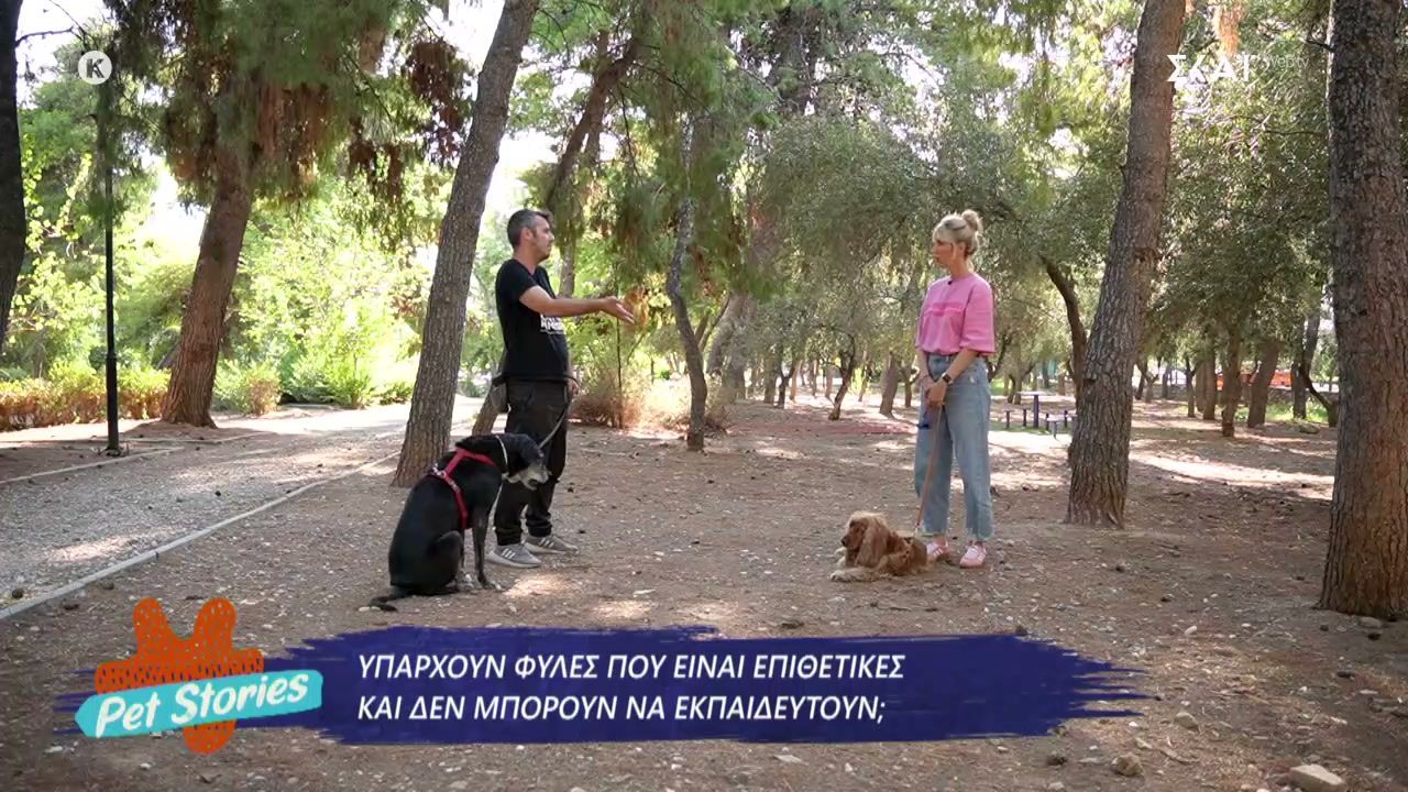 Είναι αλήθεια πως κάποιες φυλές σκύλων που είναι επιθετικές και δεν μπορούν να εκπαιδευτούν;