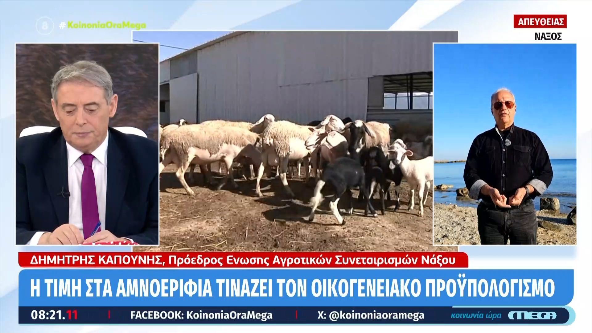 «Εκτίναξη» τιμών στα αμνοερίφια – Σε απόγνωση οι καταναλωτές