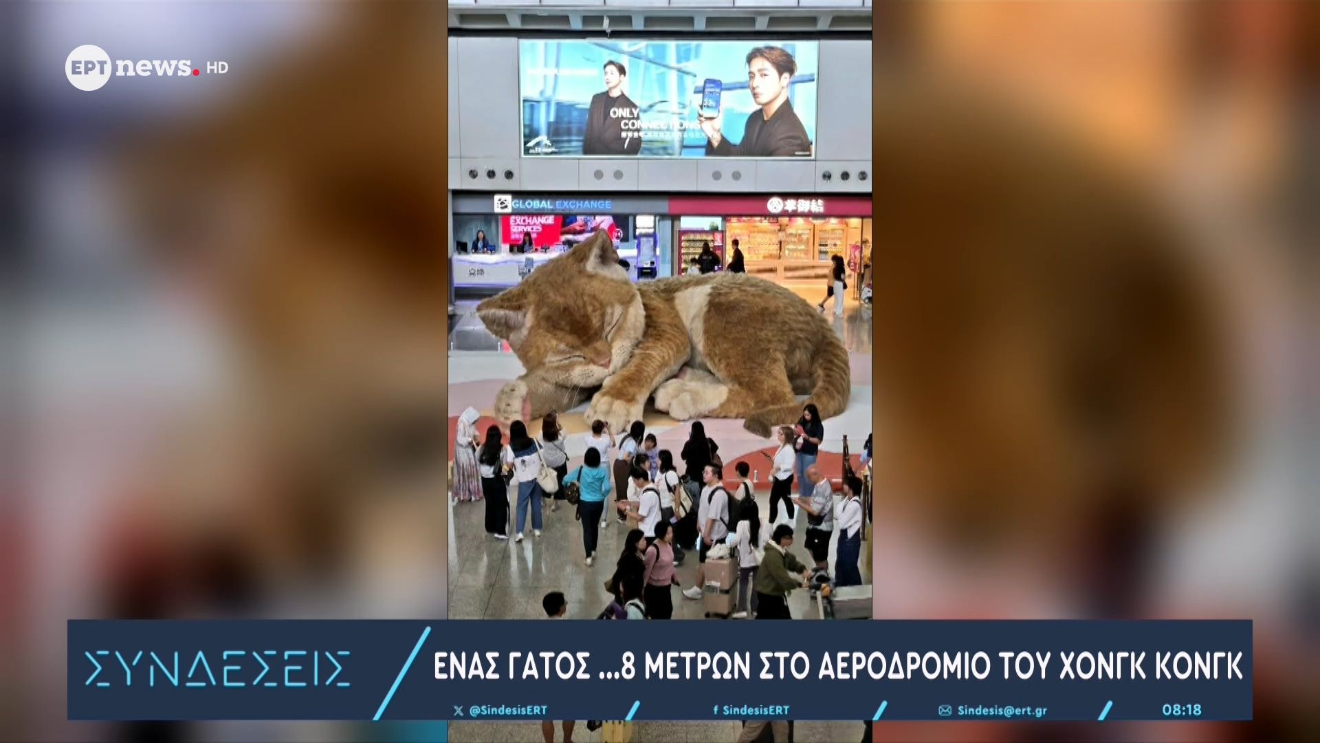 Ένας γάτος…8 μέτρων στο αεροδρόμιο του Χονγκ Κονγκ