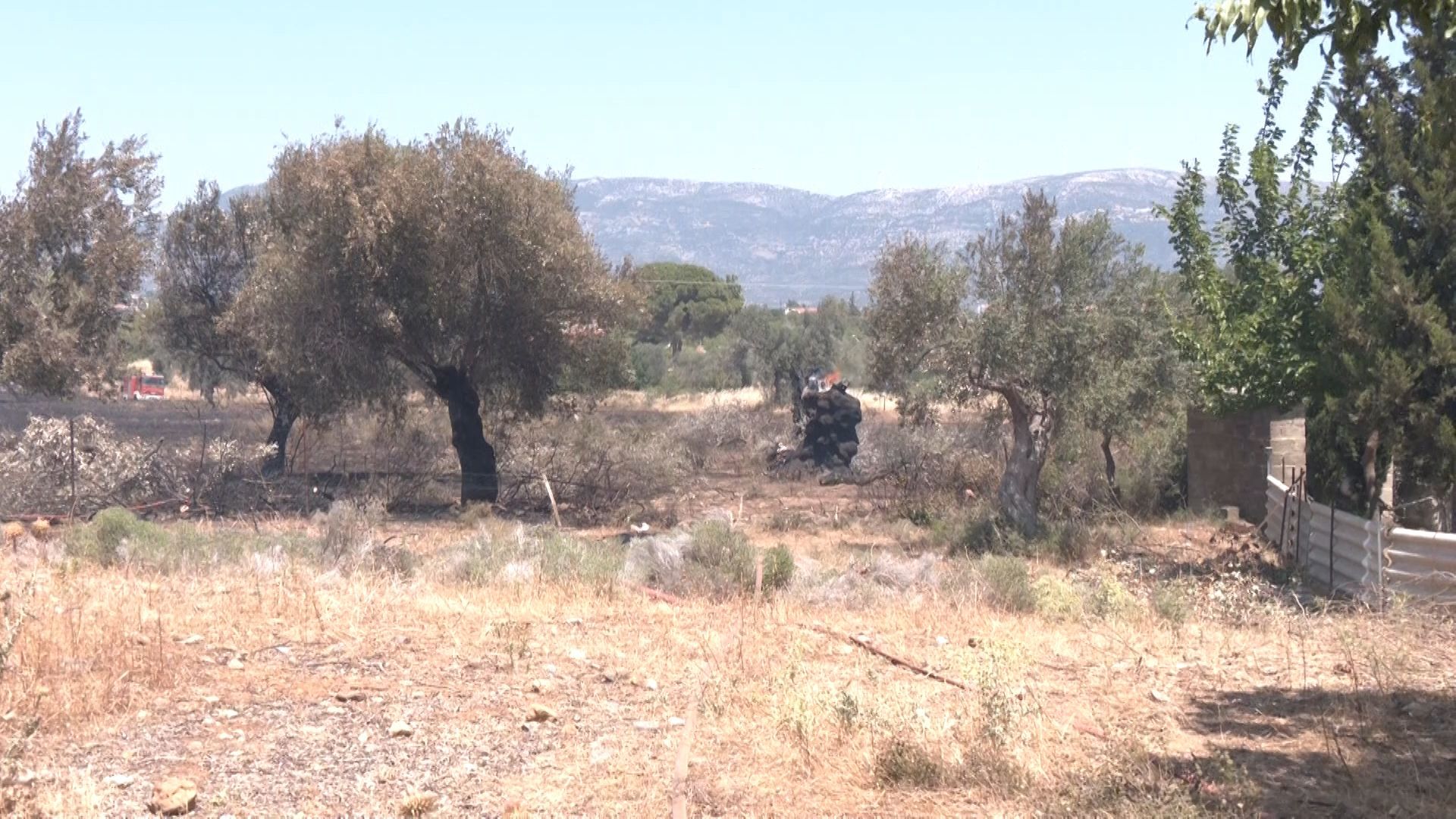Έρχονται έλεγχοι και πρόστιμα για ακαθάριστα οικόπεδα στο δήμο Χαλκιδέων