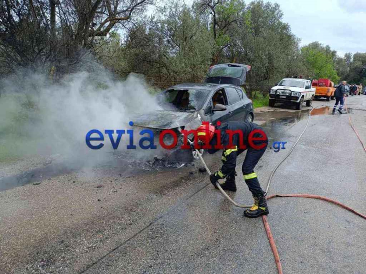 Εύβοια: Αυτοκίνητο τυλίχθηκε στις φλόγες ενώ κινούνταν – Μέσα μια οικογένεια