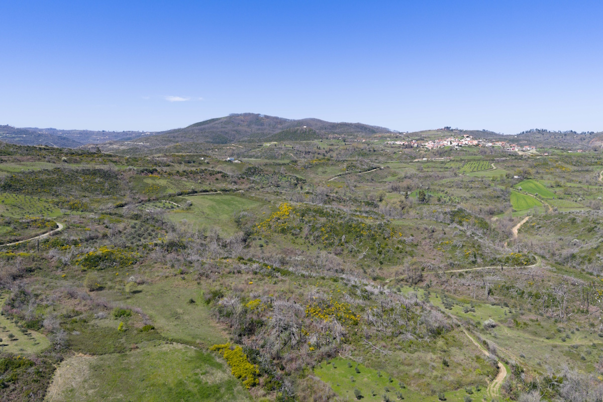 2.000 δέντρα σε Χίο και Βόρεια Εύβοια: Πρωτοβουλία του φυσικού μεταλλικού νερού BΙΚΟΣ για την αποκατάσταση περιοχών μετά τις πυρκαγιές