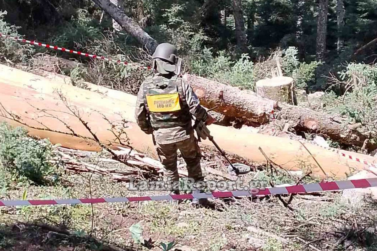 Ευρυτανία: Ανακαλύφθηκε χειροβομβίδα σε δάσος κοντά στο χωριό Νόστιμο