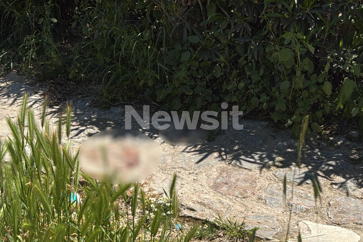 Φιλοπάππου: Βίαιος ξυλοδαρμός δύο ανδρών με λοστό – Μία παρατήρηση προκάλεσε την επίθεση