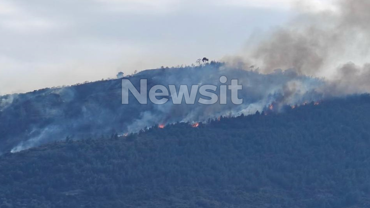 Σύλληψη 51χρονου για την πυρκαγιά στην Άμπελο Αχαΐας