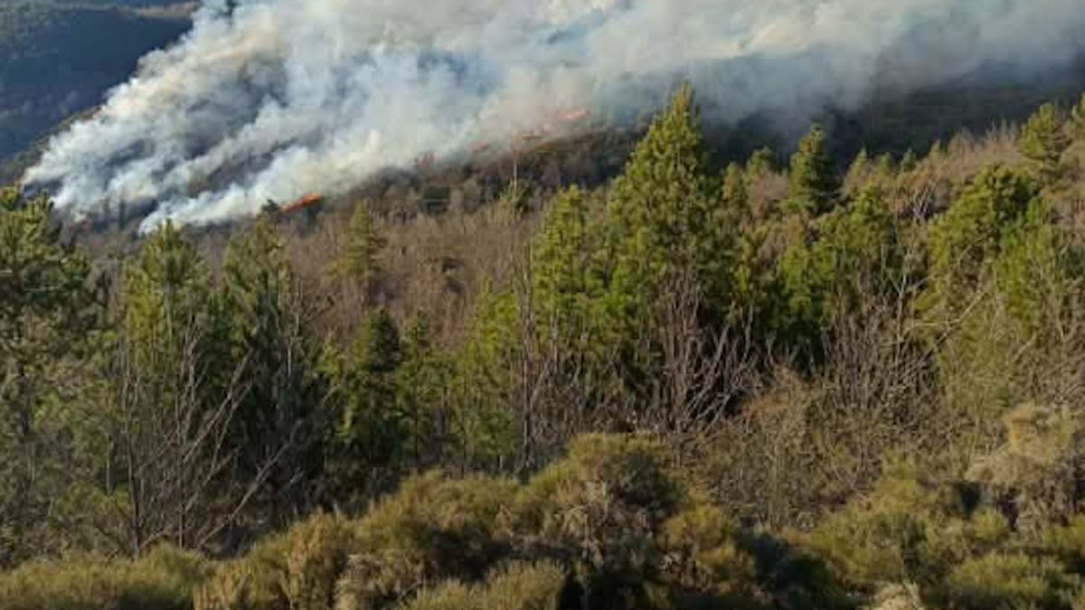 Πυρκαγιά στη Λακωνία, 50 πυροσβέστες και 25 οχήματα σε δράση