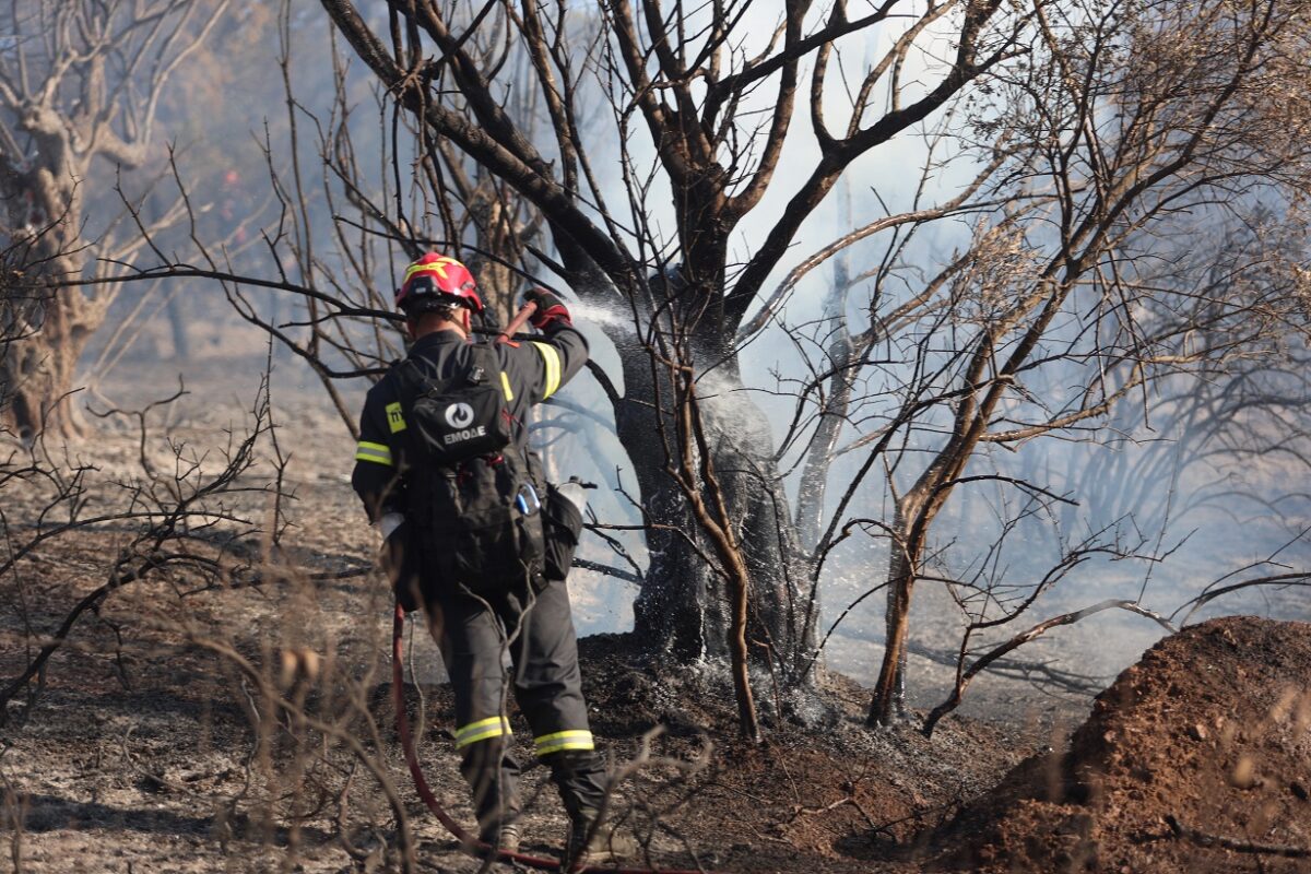 Συναγερμός στην Πολιτική Προστασία για τις 52 πυρκαγιές το Σαββατοκύριακο