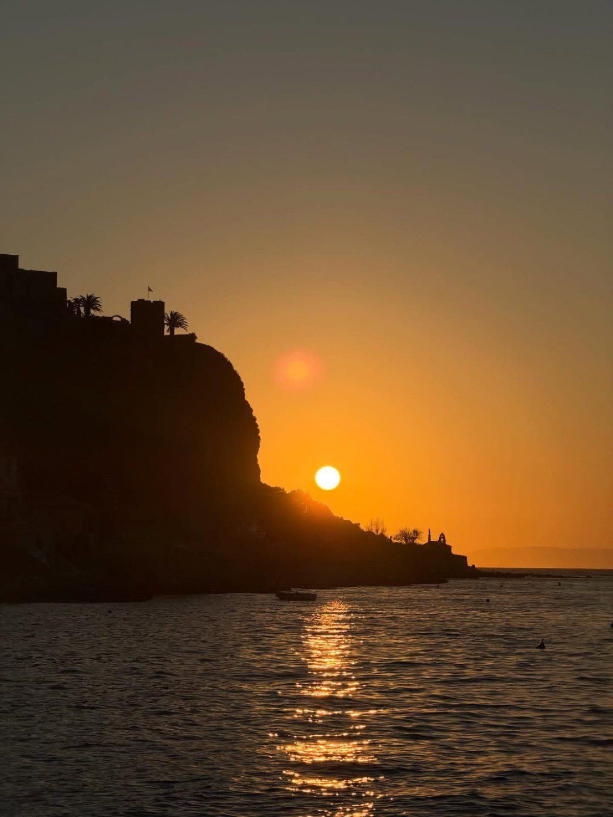 Γαρυφαλλιά Καληφώνη
