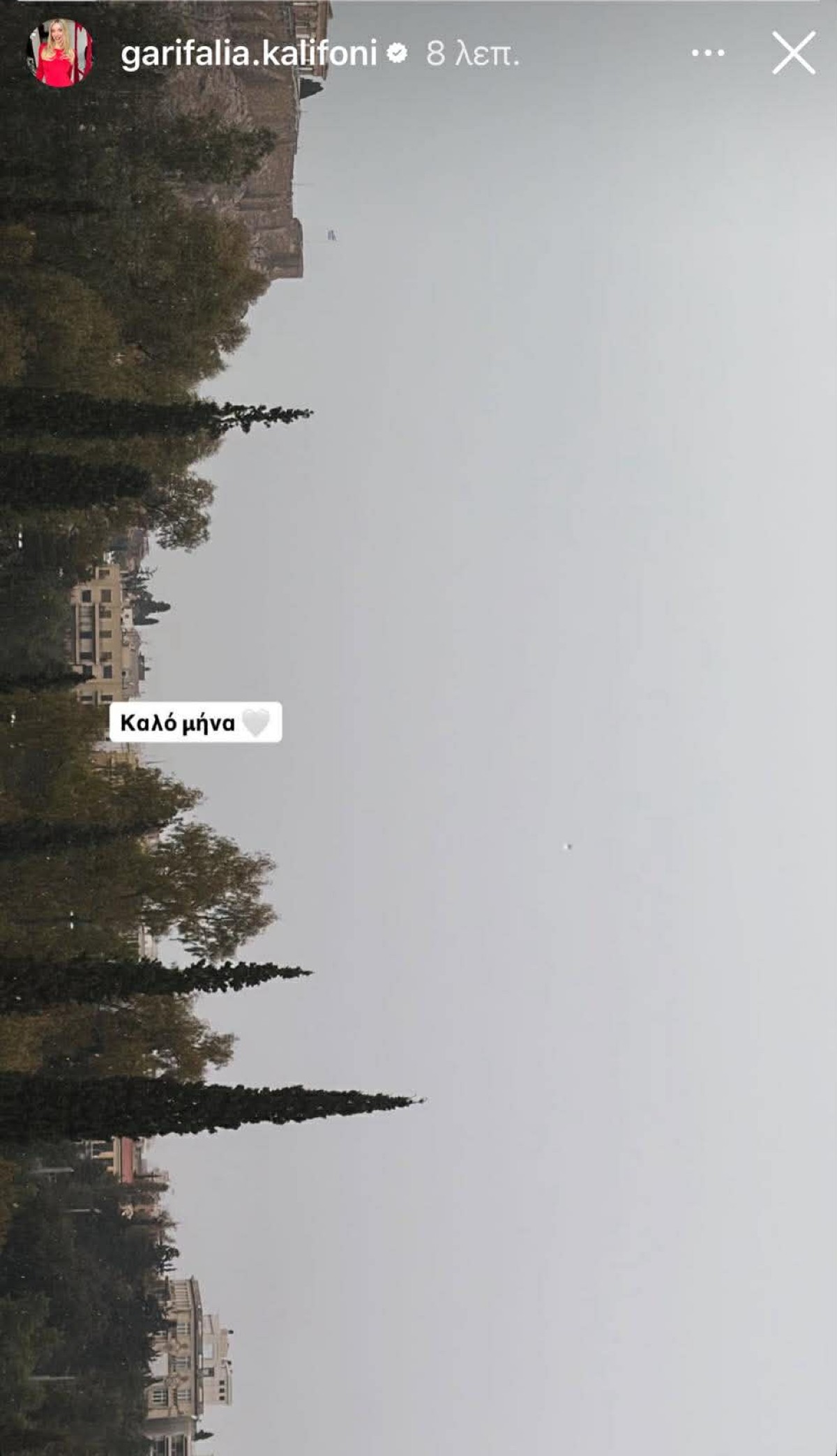 Γαρυφαλλιά Καληφώνη 