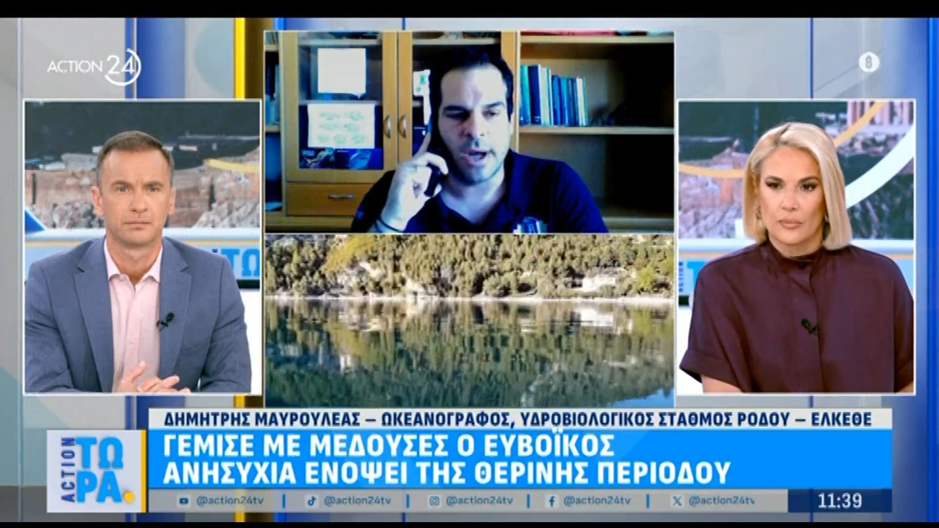 Γέμισε με μέδουσες ο Ευβοϊκός – Ανησυχία ενόψει της θερινής περιόδου