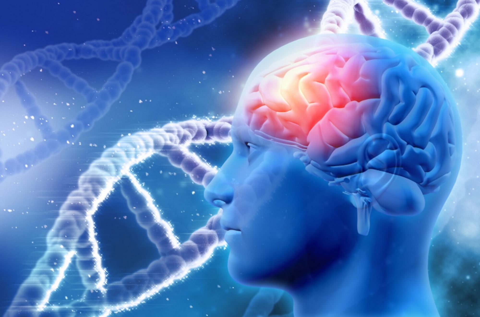 Ερευνητές αποκάλυψαν ένα 30ετές μυστήριο για το «κρυφό» θρεπτικό στοιχείο που θωρακίζει τον εγκέφαλο και πολεμά τον καρκίνο